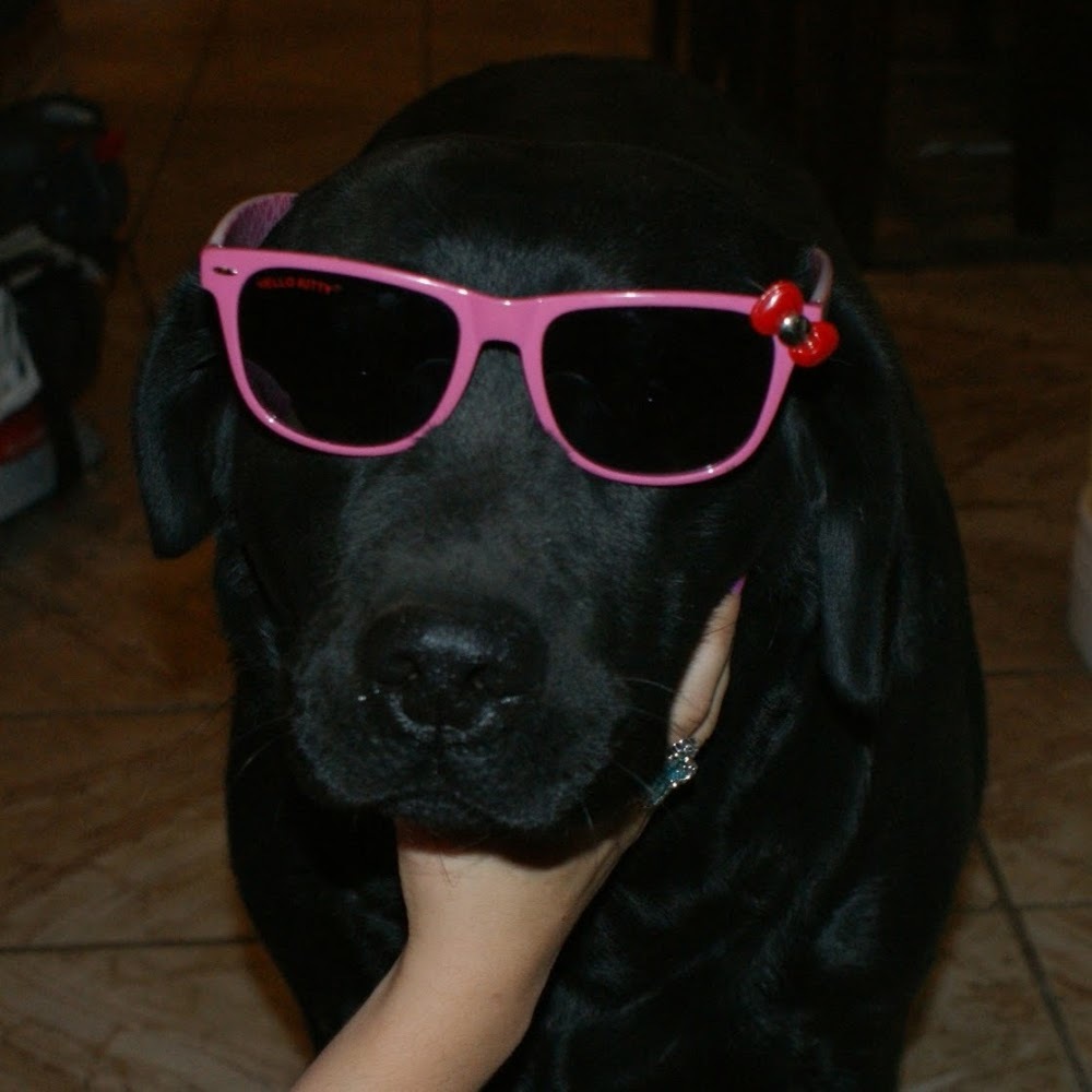 Meet your Posher, Libby